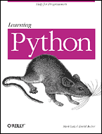 Learning Python 1st edition book cover